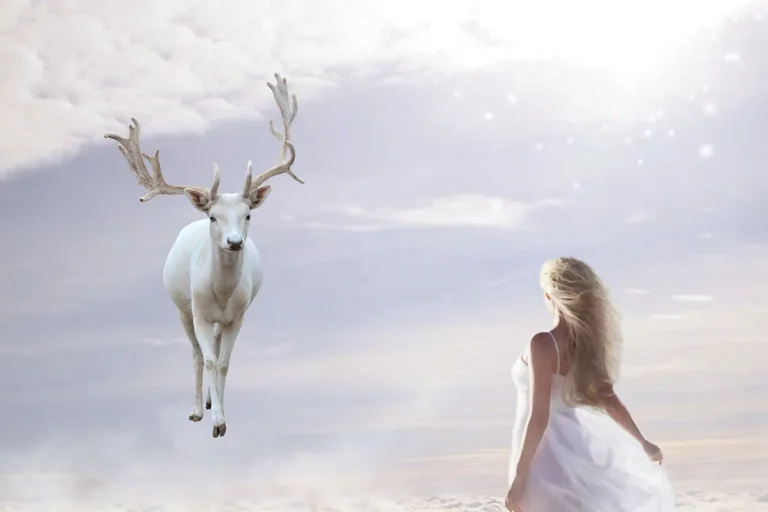 The Biblical Meaning Of Seeing A White Deer