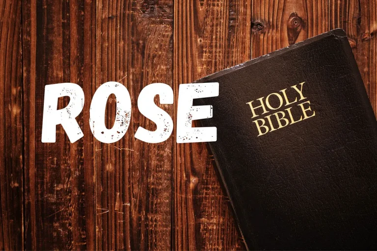 Rose Name Meaning Biblical
