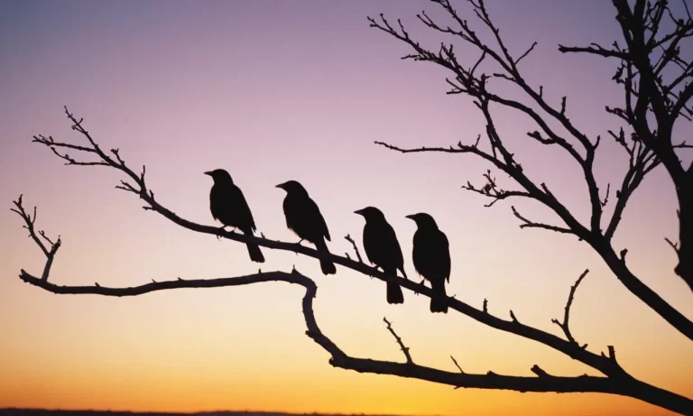 What Does It Mean Spiritually If You See 3 Black Birds? An In-Depth Look