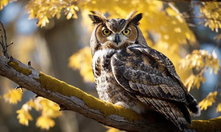 The Spiritual Meaning And Symbolism Of The Great Horned Owl