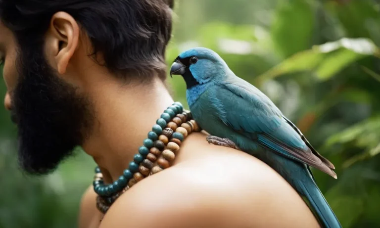 The Spiritual Meaning Of A Bird Landing On Your Shoulder